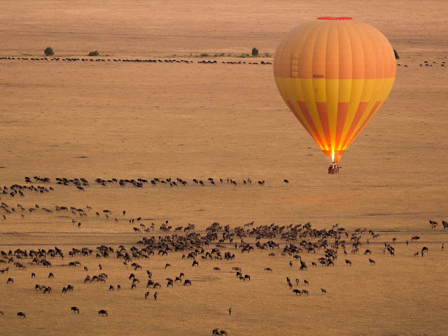 نقره لعرض الصورة في صفحة مستقلة