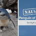 This Aquarium Announced The Naughtiest Penguin Of The Month, And The 'Offenses' Are Hilarious
