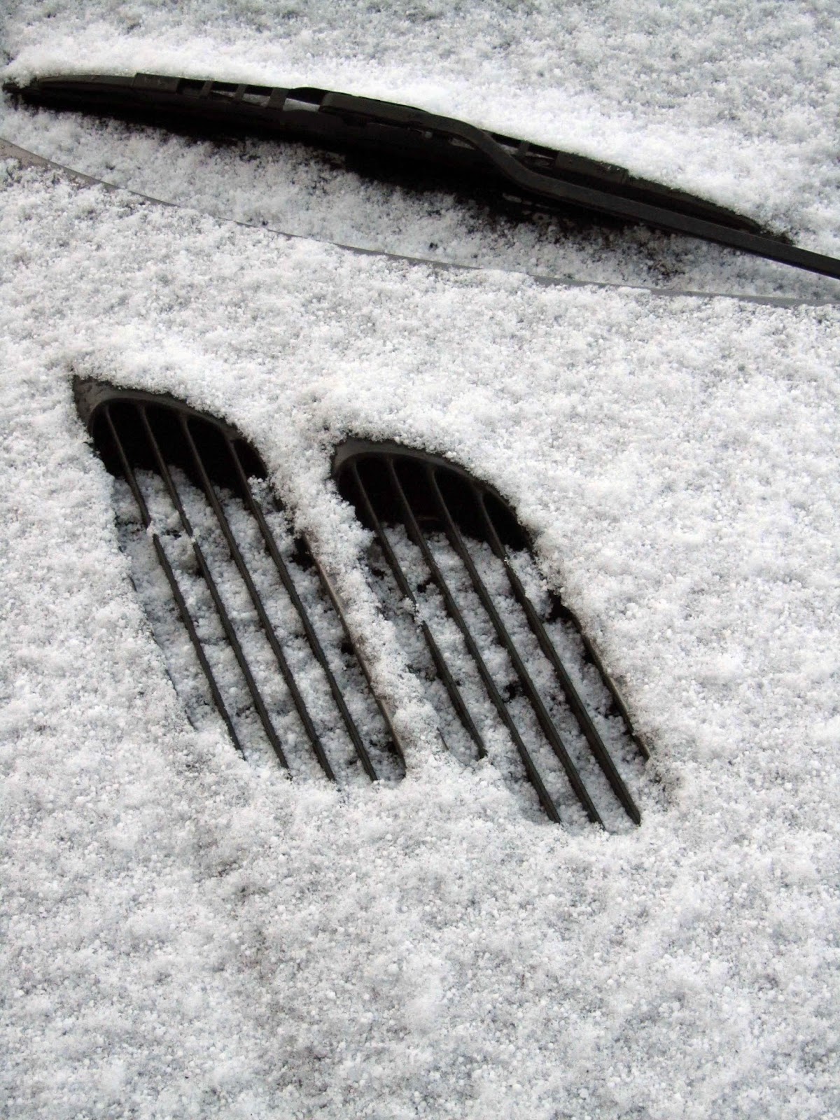 grids of car covered in snow