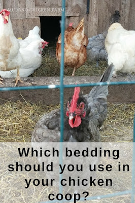 Choosing a chicken coop bedding