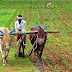 Government, FAO launches agriculture project in 5 states