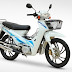 ASYA MOTOR TURKCUP DELUX