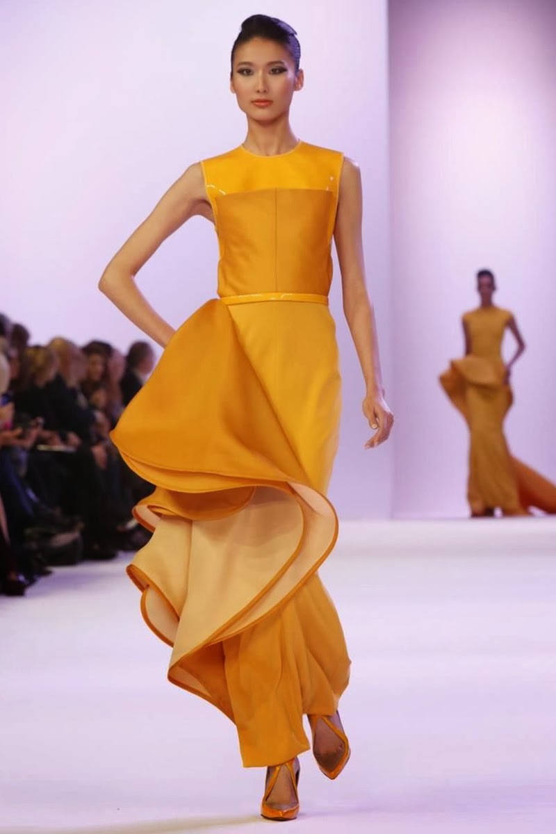 Anobano's Blog: Stephane Rolland Spring 2014 Haute Couture
