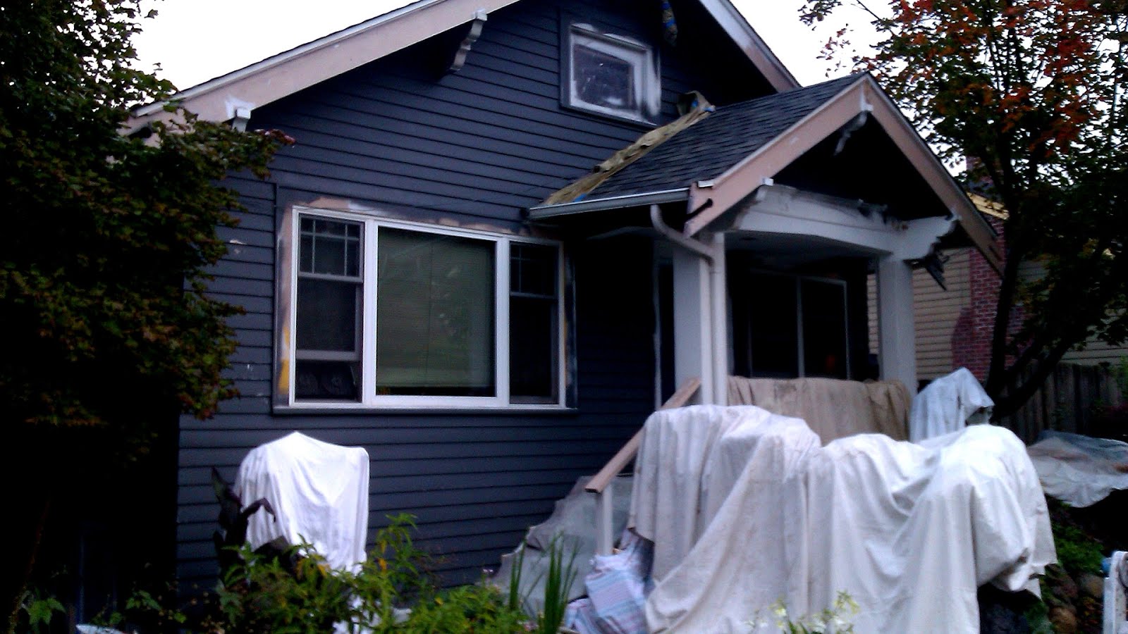 Leadbased paint in the United States Paint Choices