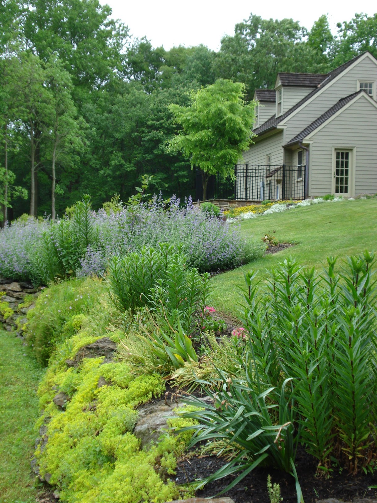 landscape designers knoxville tn on 15 Modern Landscape Design Services Photos Landscape Ideas