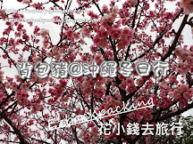 跟着背包豬遊冬日沖繩速報! 名護+八重岳+萬座毛+那霸櫻花現況及賞櫻心得