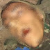 Corpo de assaltante morto durante assalto em Vieirópolis continua sem identificação