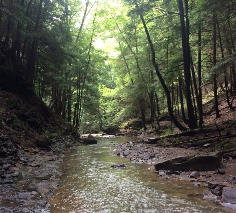 PA Environment Digest Blog Audubon Society Of Western PA Seeking