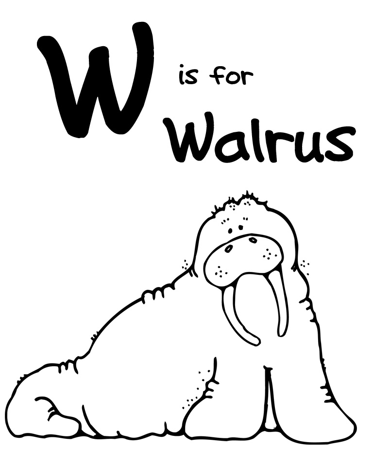 wally walrus coloring pages - photo #48