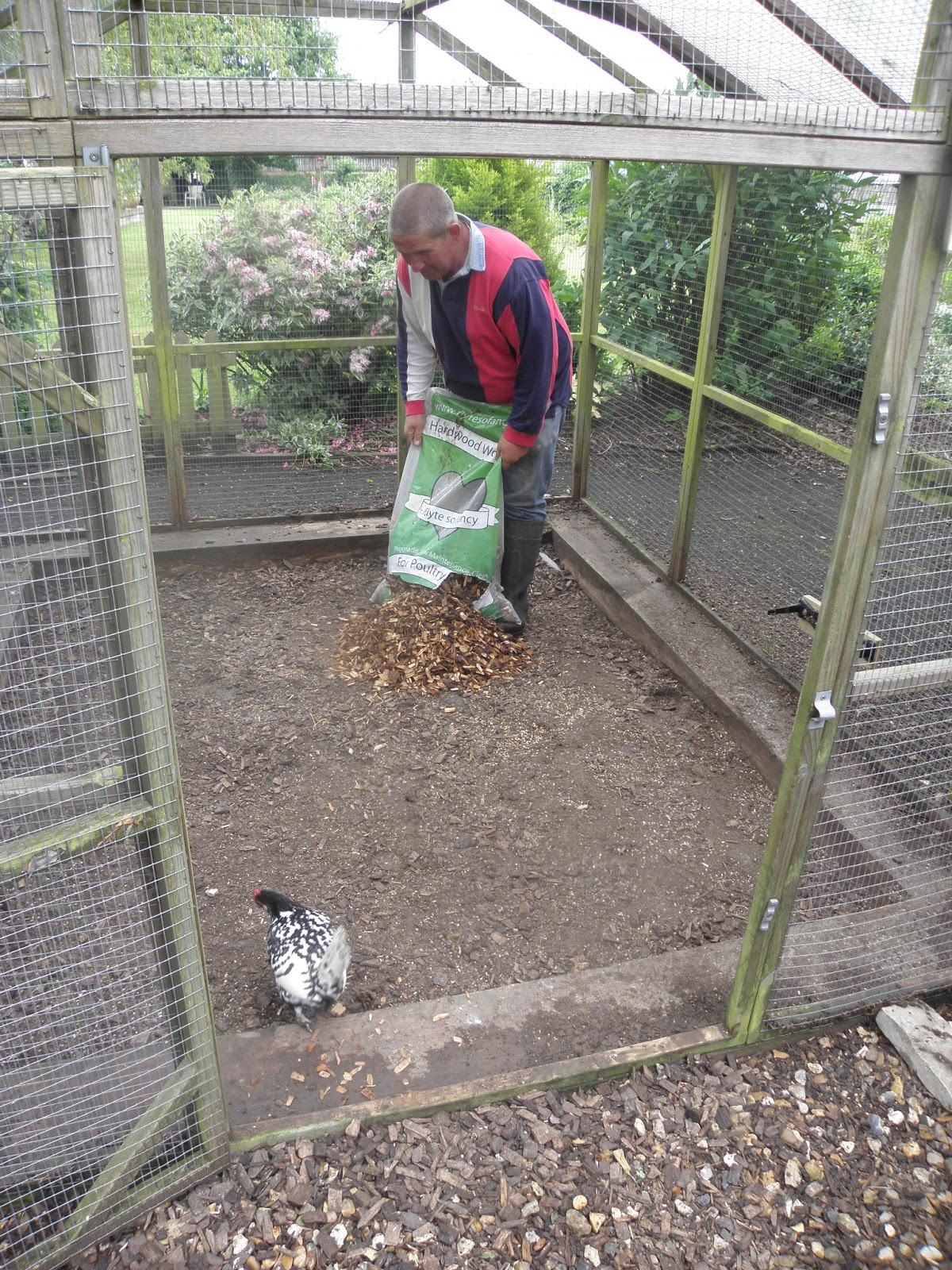 Flyte So Fancy Cleaning A Poultry Pen