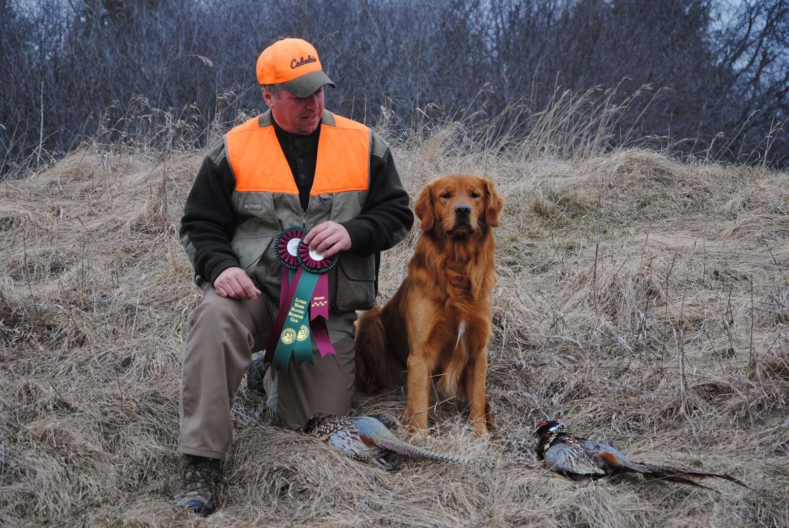 bicicleta upland golden wheel group