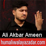 https://www.humaliwalyazadar.com/2018/08/ali-akbar-ameen-nohay-2019.html