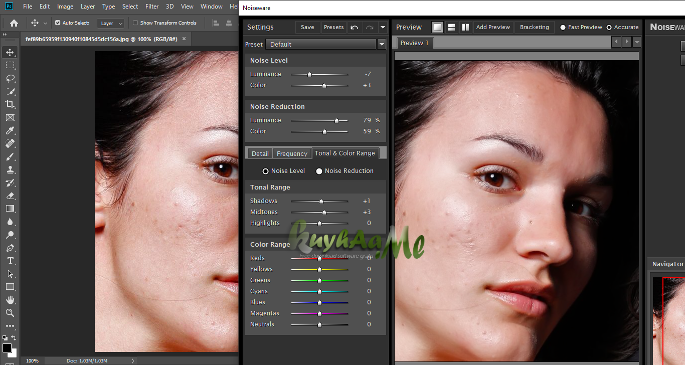 imagenomic noiseware professional imagenomic noiseware professional