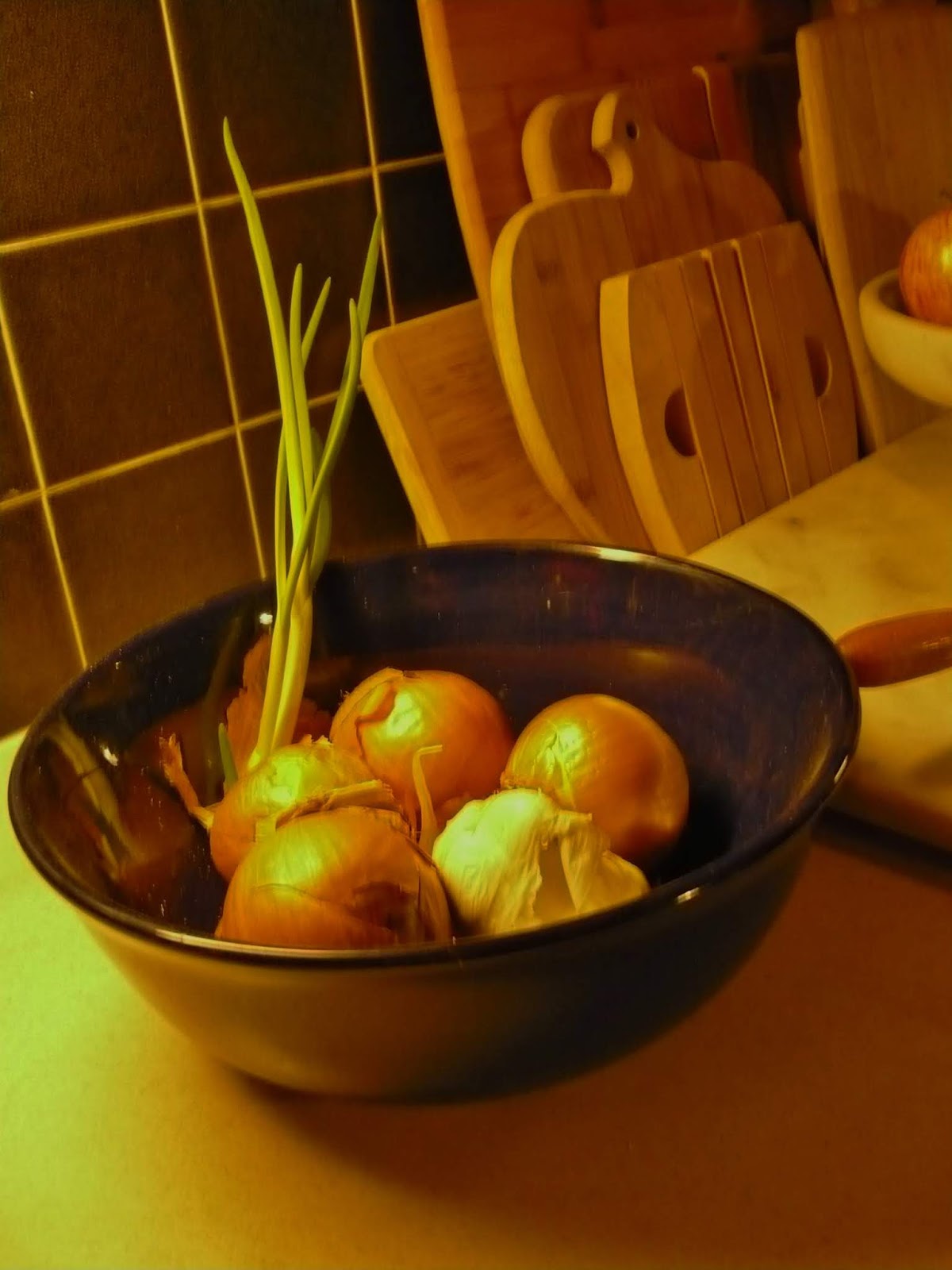 Confessions Of A Recalcitrant Goddess In The Kitchen