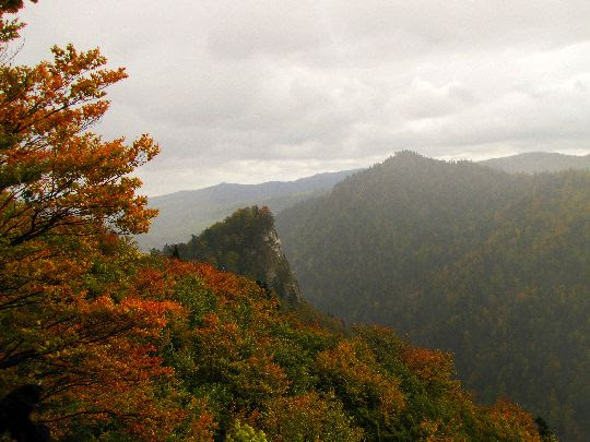 Widok na Sokolicę. Widok na Sokolicę.