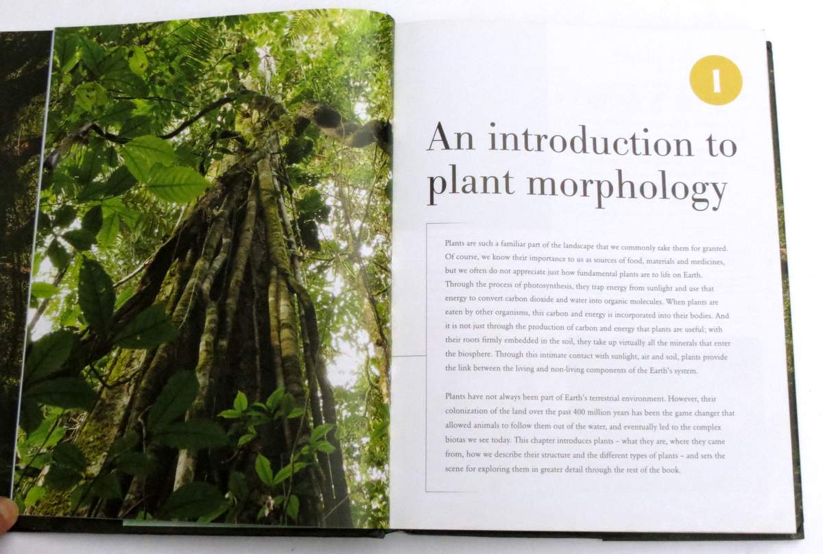 Book Review How Plants Work Princeton University Press Travels
