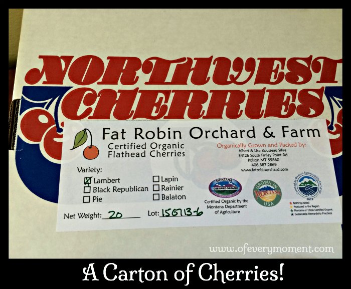 How to Pit and Freeze Cherries a Picture Tutorial. the most of