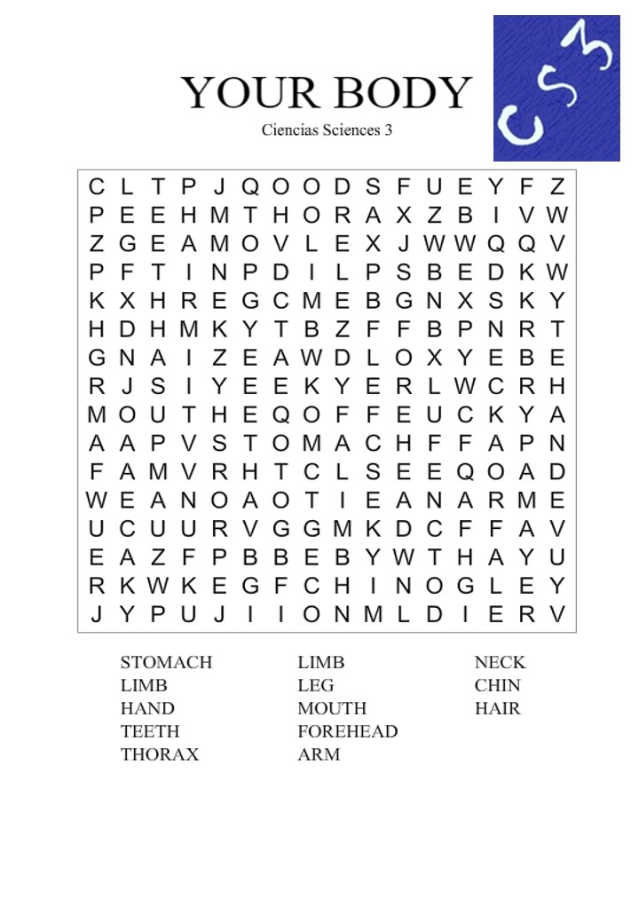 ciencia science 3 alphabet soup your body