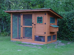 Wayne s Blog: CITY CHICKENS HOW I BUILT OUR BACKYARD COOP