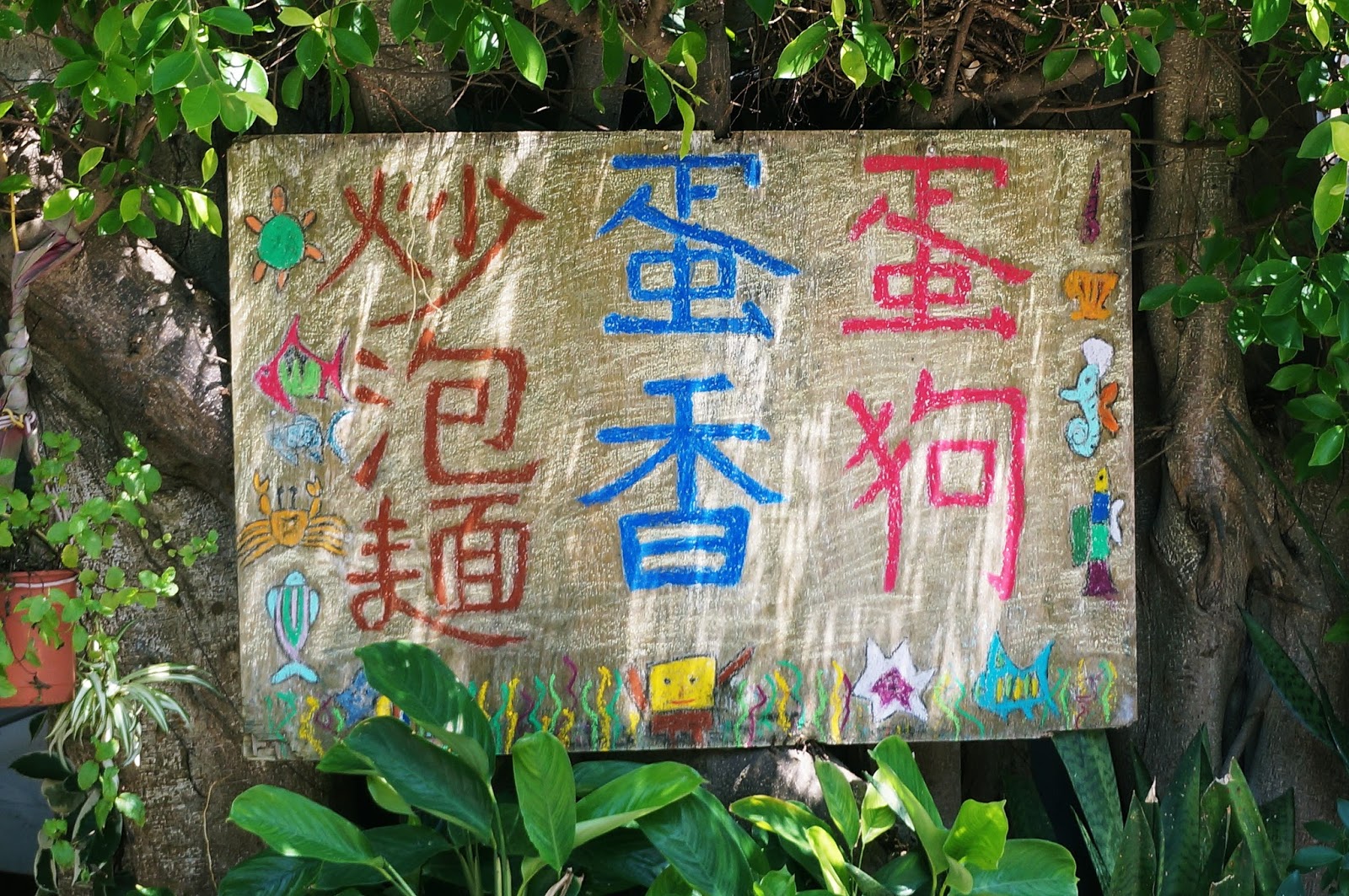 圖片
