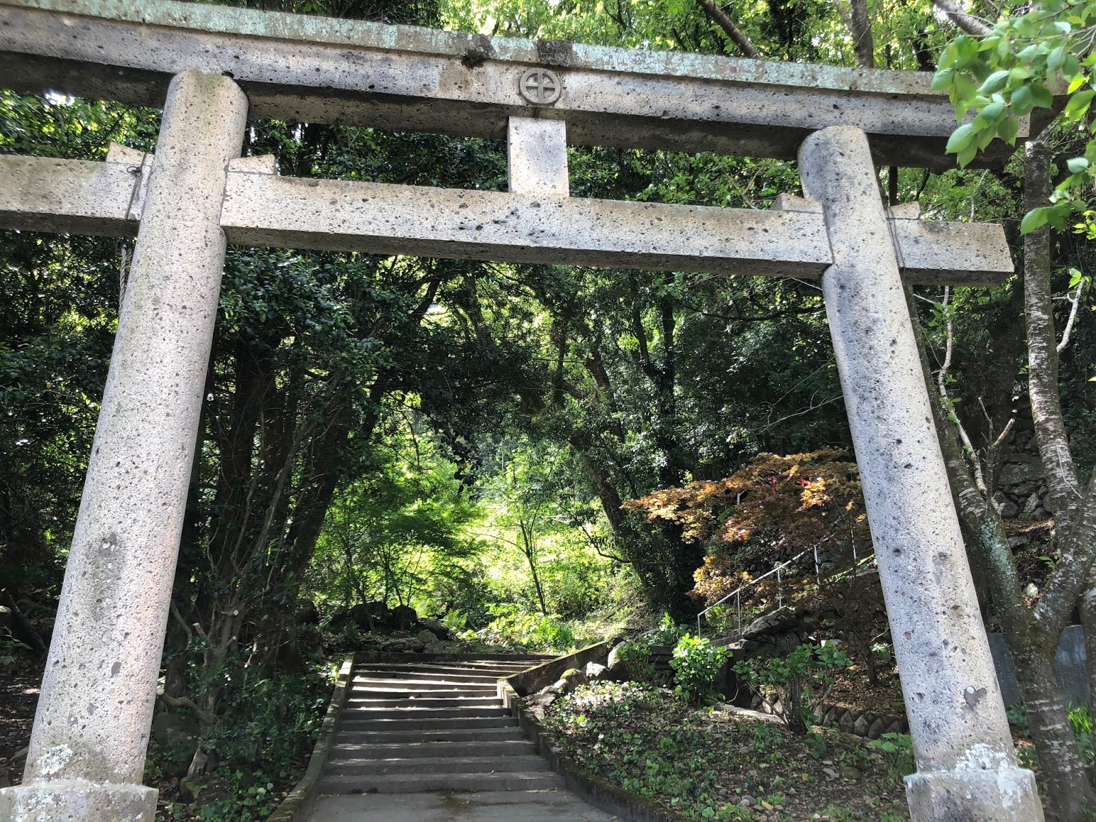 丸に十字 May 2018