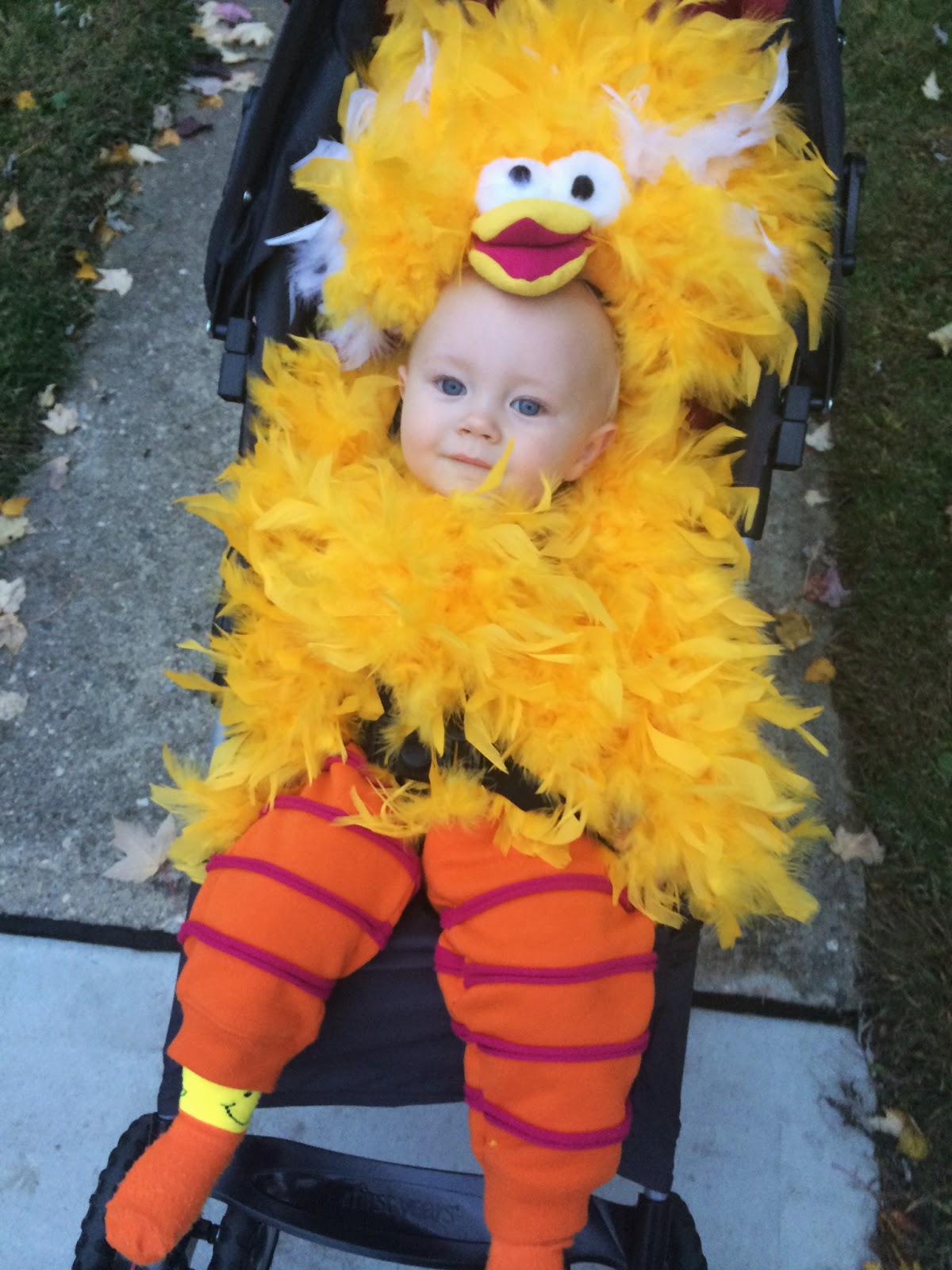 Très Bon Babble Big Bird Halloween Costume