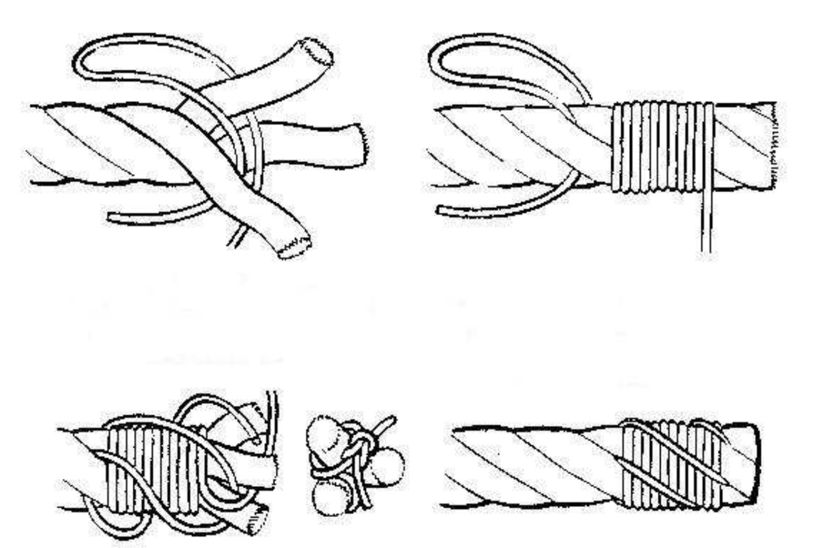 Whipping the end of a rope