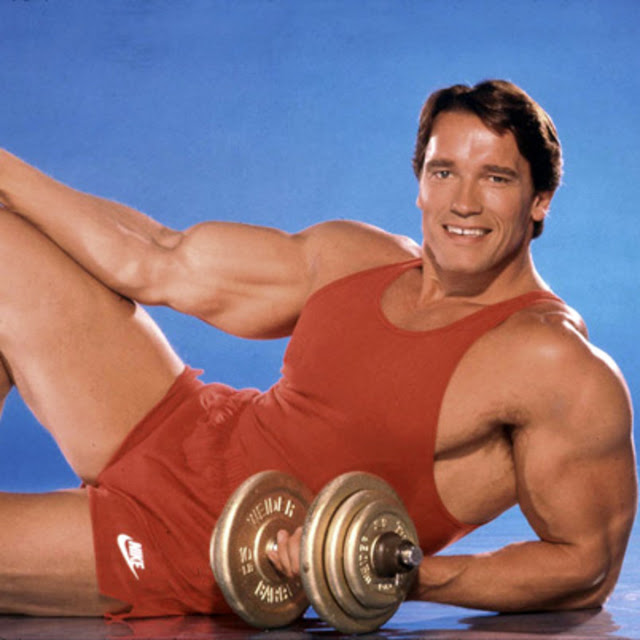 Insane Arnold Schwarzenegger Bodybuilding Pictures