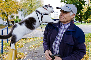 Блог Кота Васьки Лёва