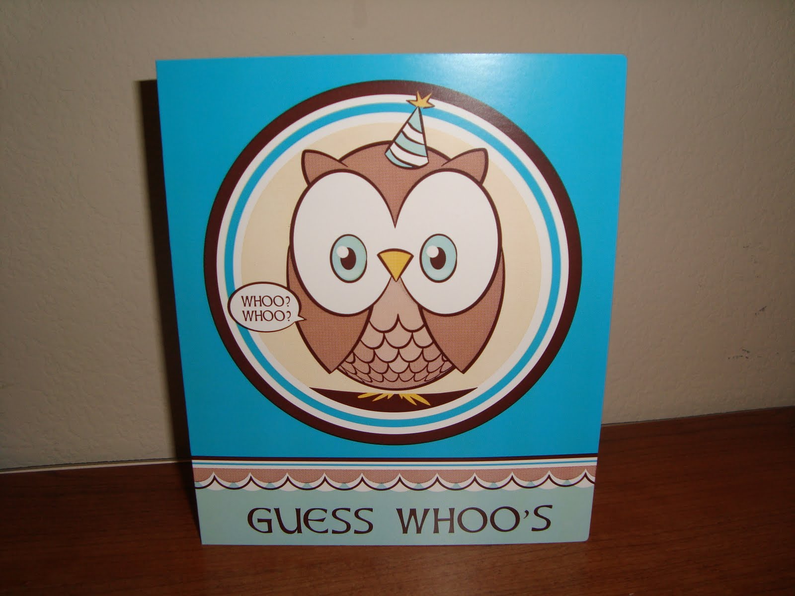 nowamomof3 Owl Birthday Theme The decorations
