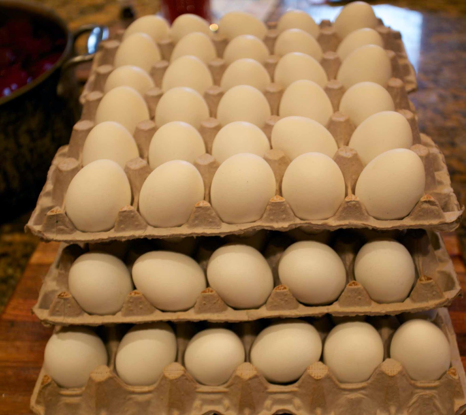 Halushki and Pickled Eggs and Beets for the Shelter