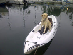 Buttercup on the Kayak!