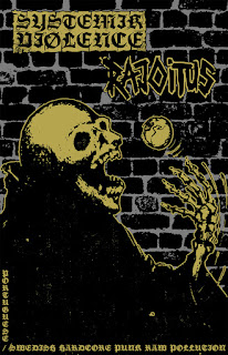 https://rawnrollrex.bandcamp.com/album/rnr007-systemik-vi-lence-por-rajoitus-swe-portuguese-swedish-hardcore-punk-raw-pollution-split-tape