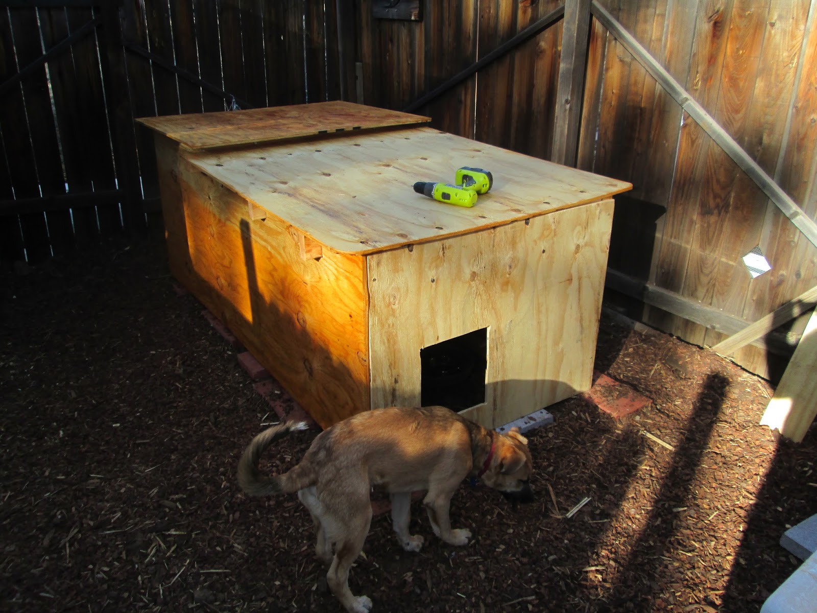 Ancient Pathways Survival School, LLC DIY Dog House Plans