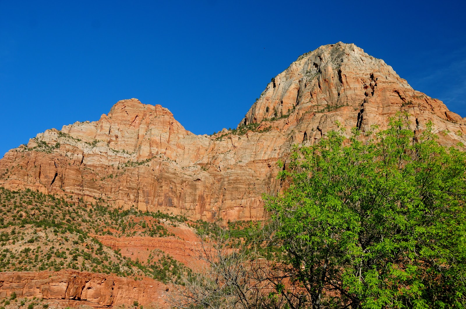 Shower Wisdom Zion National Park
