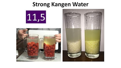 manfaat strong kangen water manfaat strong kangen water