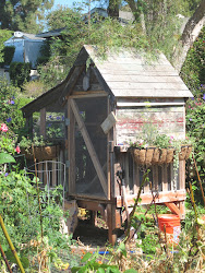 chicken coop chic french coops poulailler chickens houses coup decoration repurposed shed amazing backyard iest recycled rustic cutest farm yard