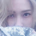 Jessica surpreende fãs com imagens de seu novo álbum!