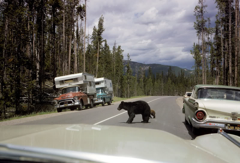 Street+scenes%252C+1950s-60s+%252823%252