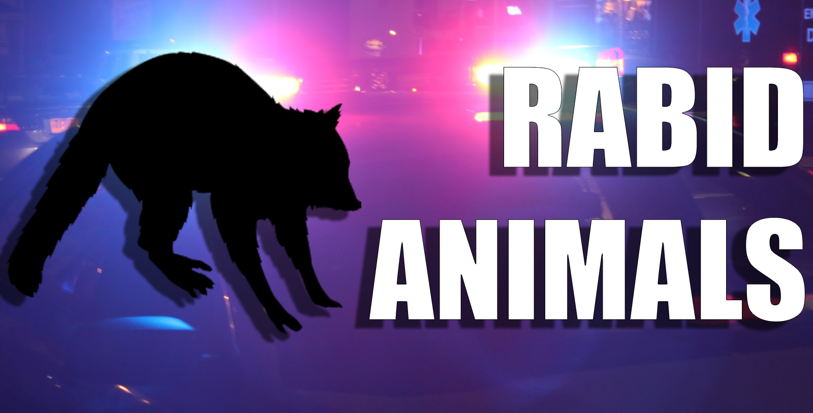 After Recent Rabid Animal Incidents; Ashland Residents Urged to Use Caution