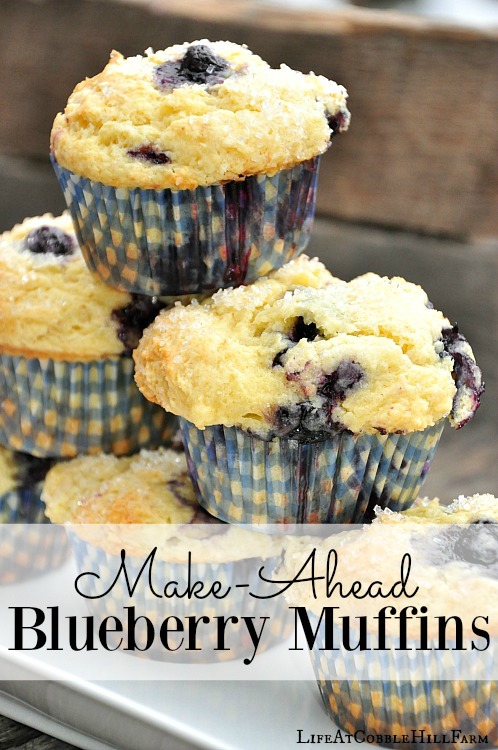 Blueberry Muffins America S Test Kitchen Blueberry Muffins America S Test Kitchen