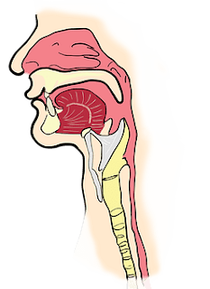 Symptoms Sinusitis - Top 12 Symptoms of Sinus Infection. Symptoms Sinusitis - Top 12 Symptoms of Sinus Infection.