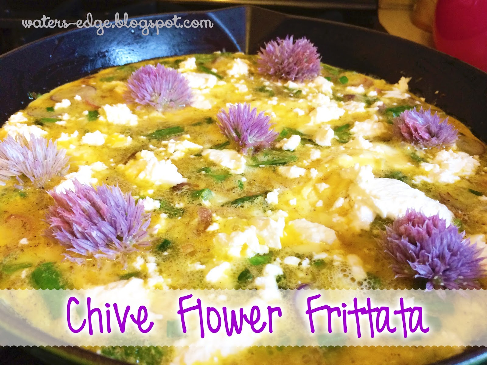 How to Use those Chive Blossoms Before they Reseed! At the Water's Edge