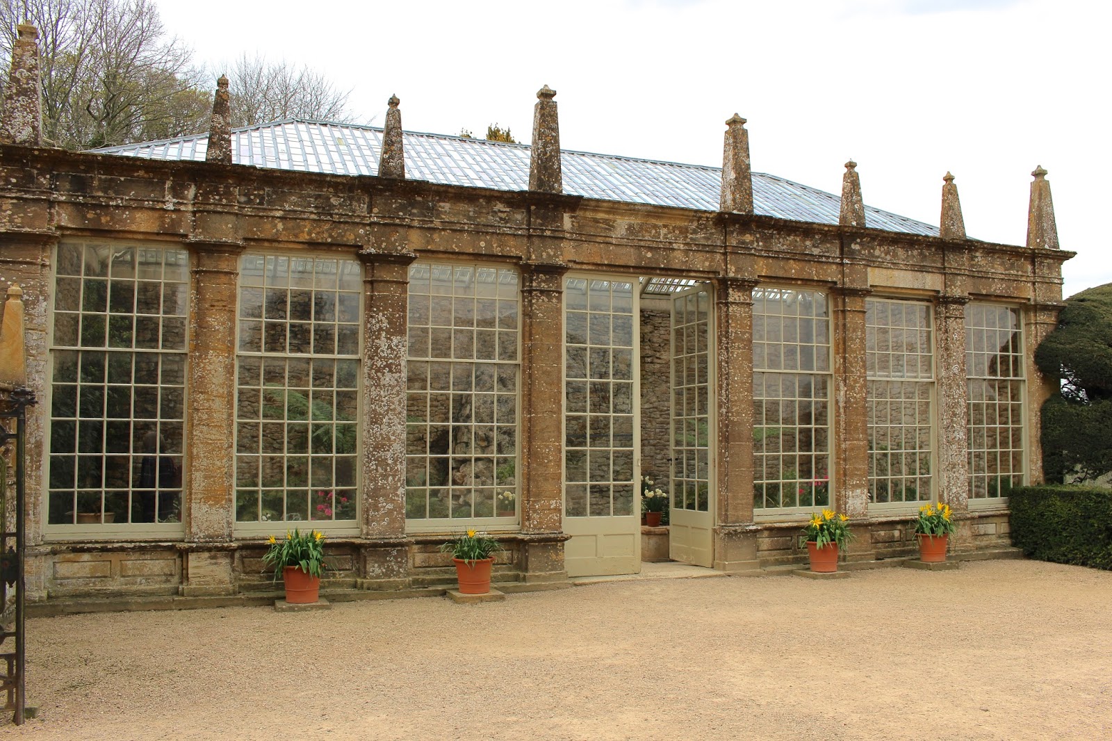 montacute house orangery montacute house orangery photography