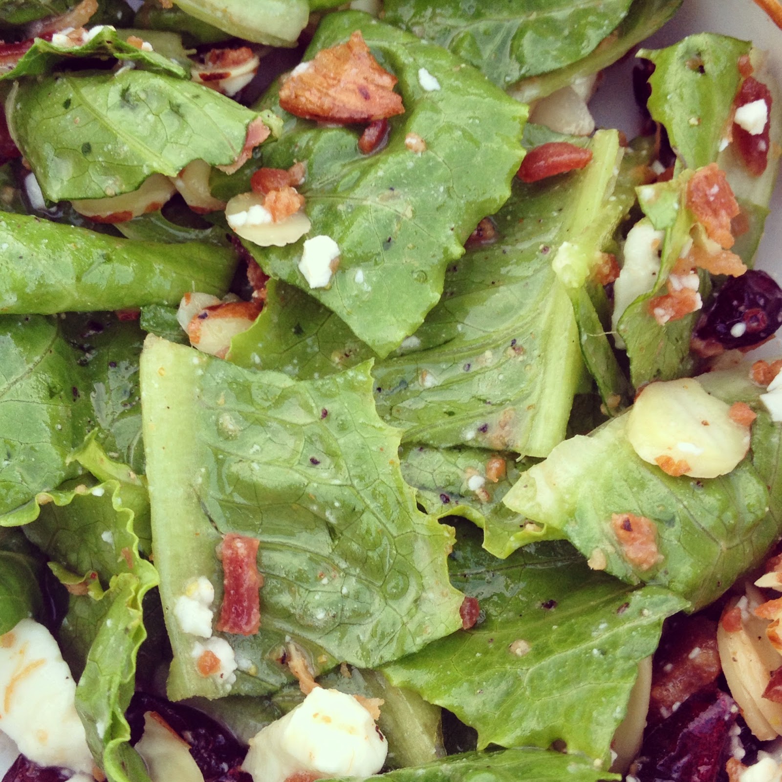 Bonz Blogz Salad with Fresh Garden lettuce