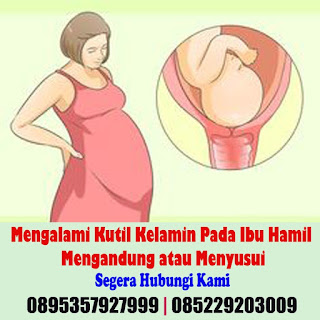 Obat kutil kelamin Obat kutil kelamin