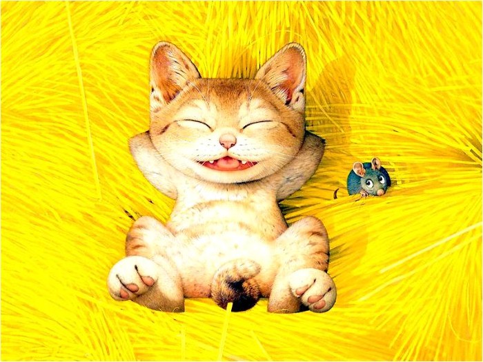 Makoto Muramatsu и кошки 3