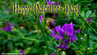 happy valentines day images happy valentines day images for husband
