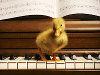 Duck on a Piano Wallpaper