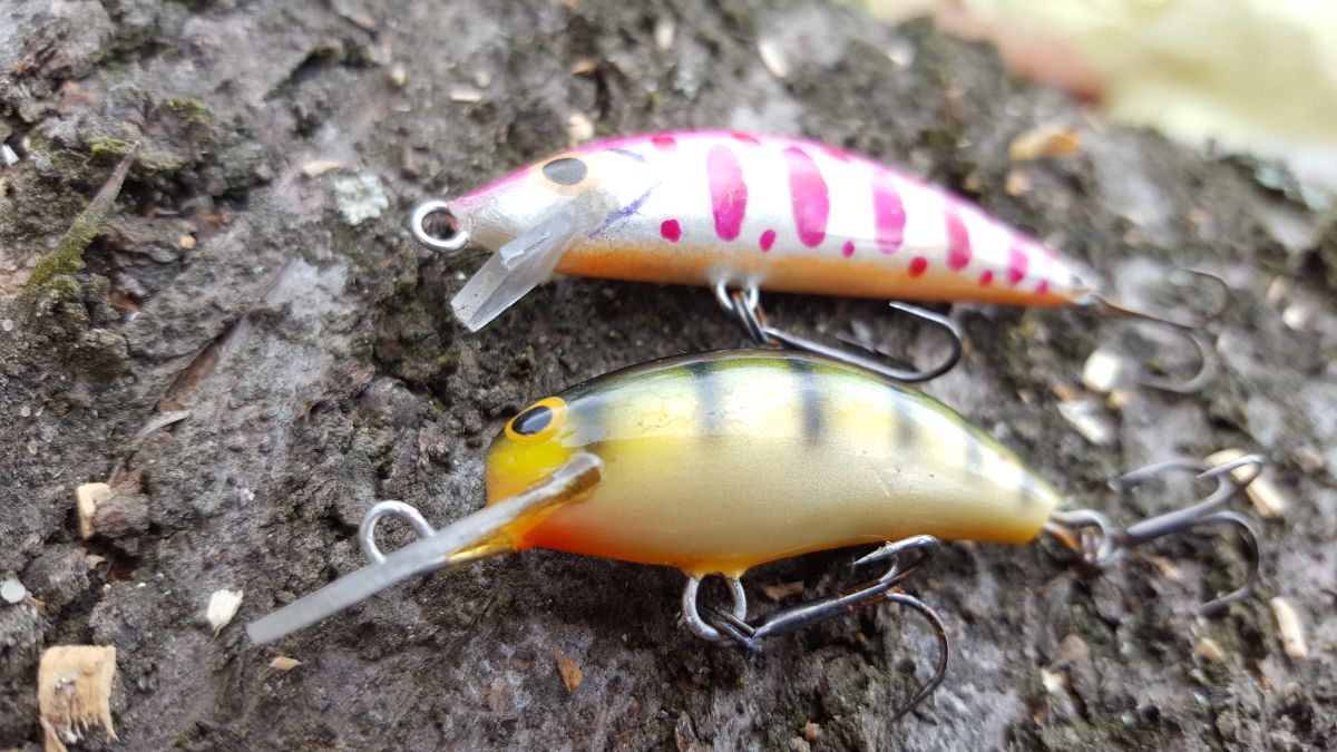 Fishing in Poland - spinning, casting and flyfishing: Trout day! Trouts